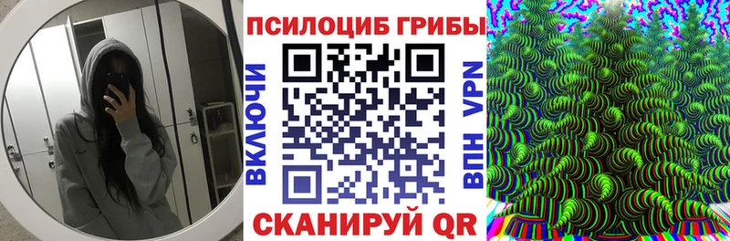 Галлюциногенные грибы Cubensis  Пучеж 